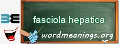 WordMeaning blackboard for fasciola hepatica